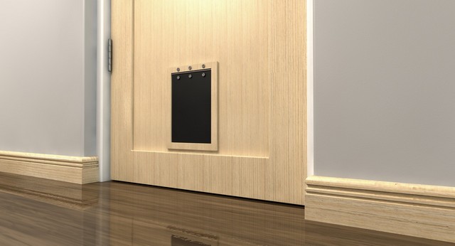 Cat Flap Installation Merton, SW19